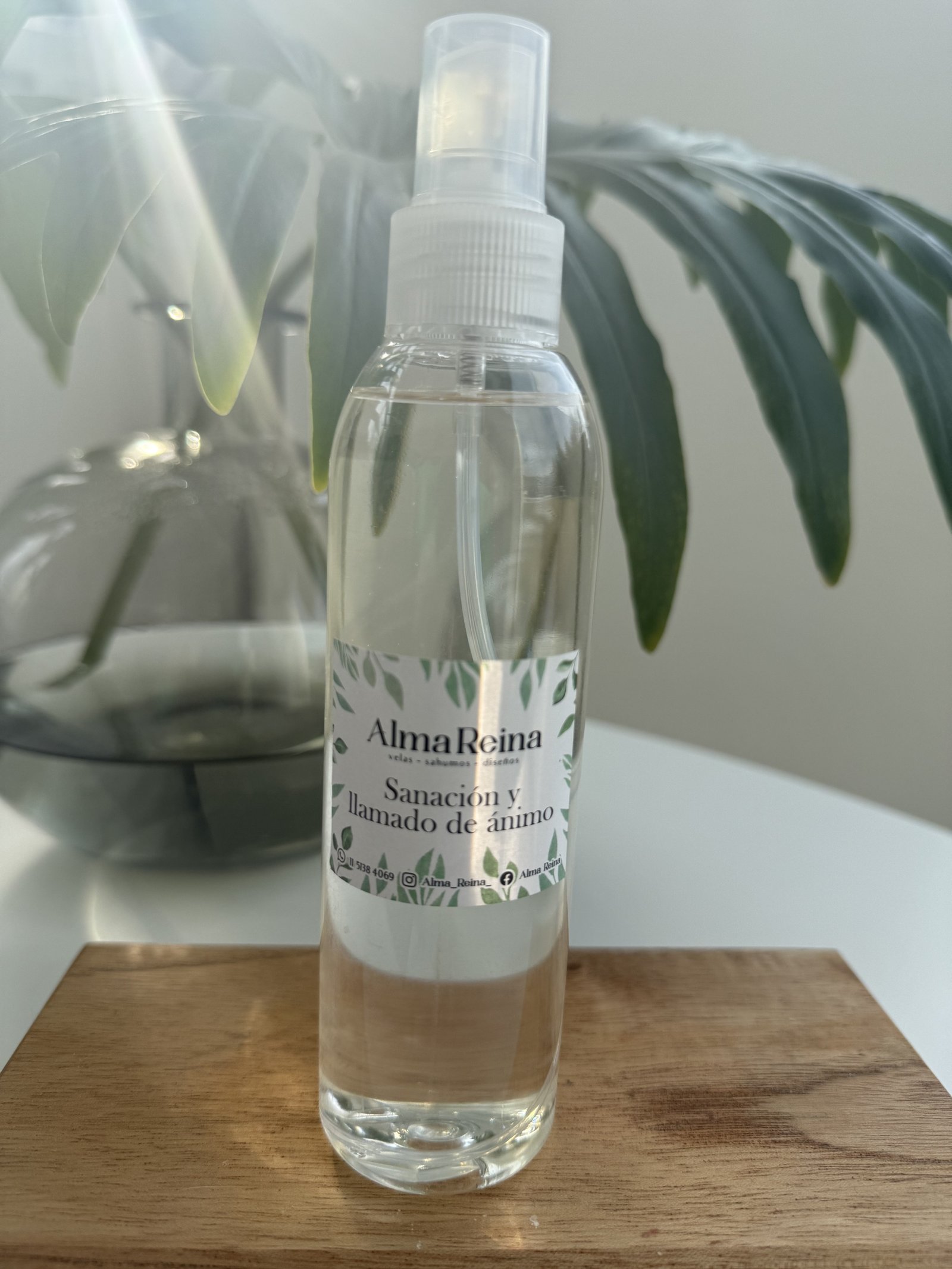 Sanación y Llamado de Ánimo