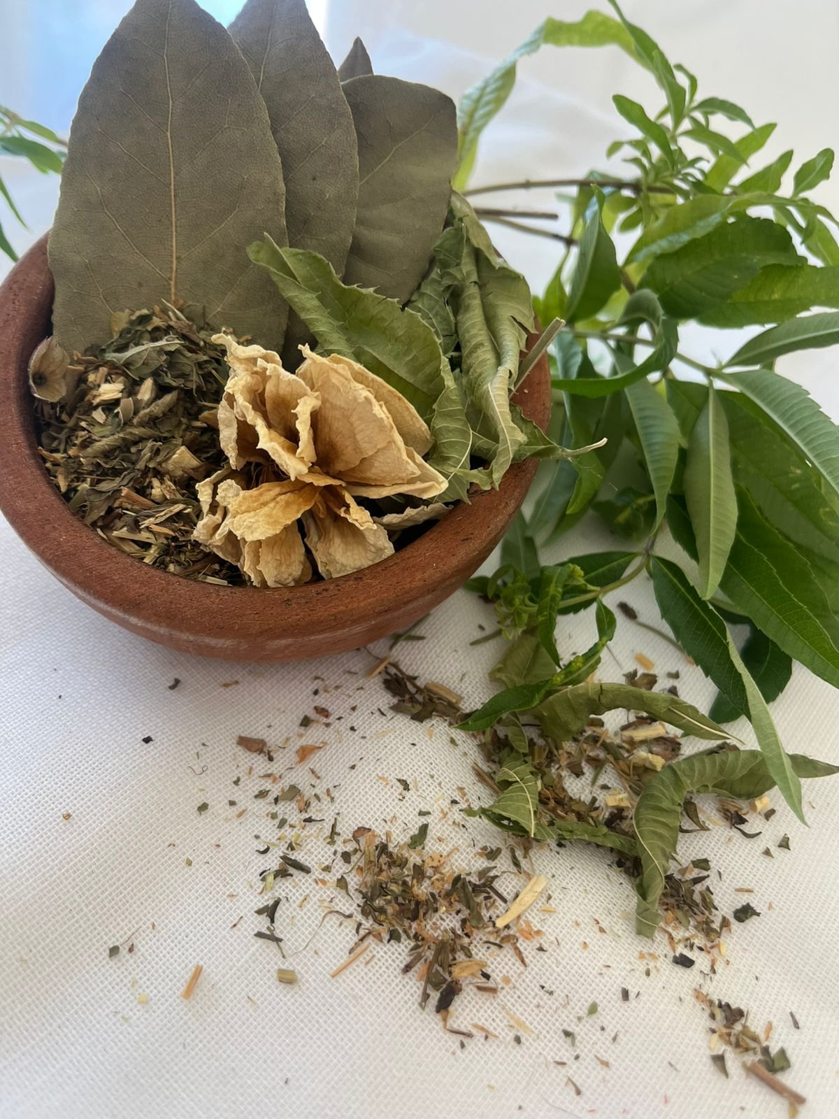 Salud: Cuerpo, Mente y Alma